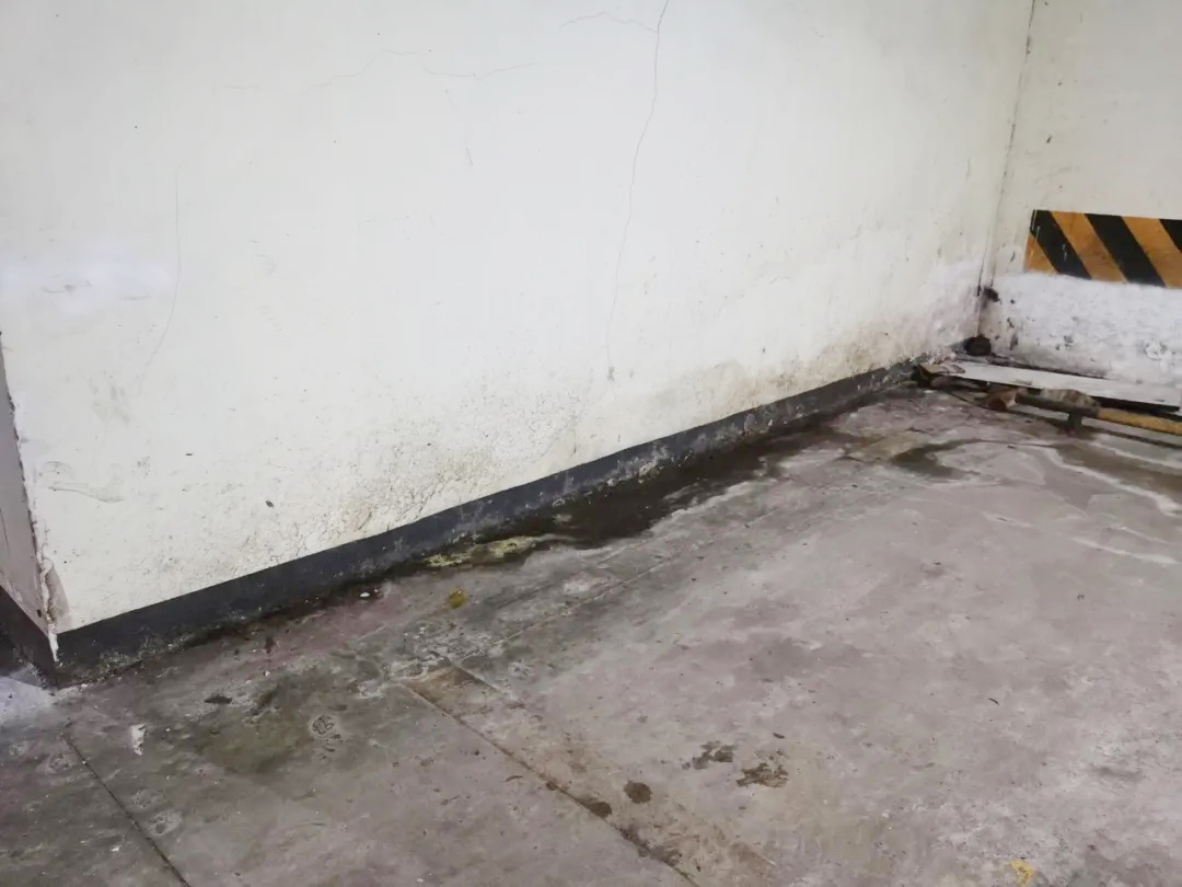 防水層泛白？別急著鏟！90%的人都不知道的真正原因